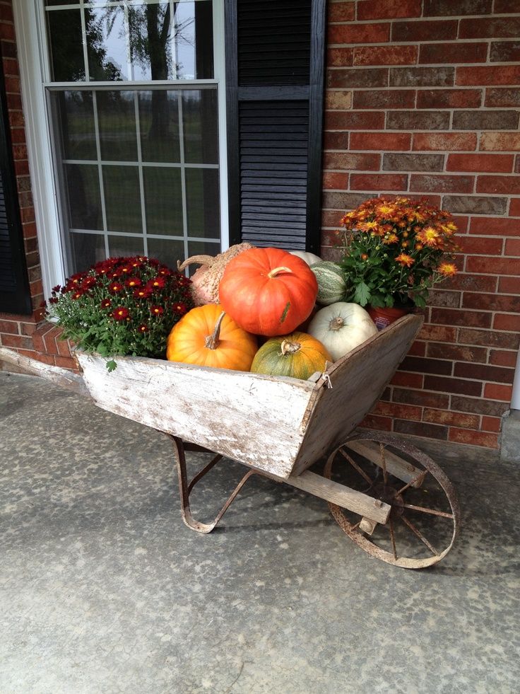 Rustic Wheelbarrow Display