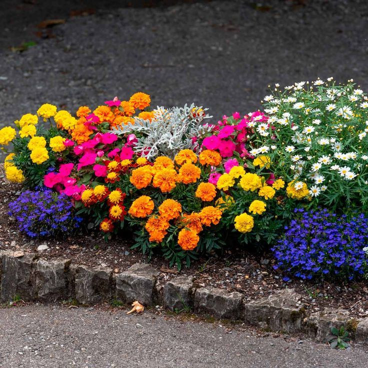 Seasonal Flower Beds