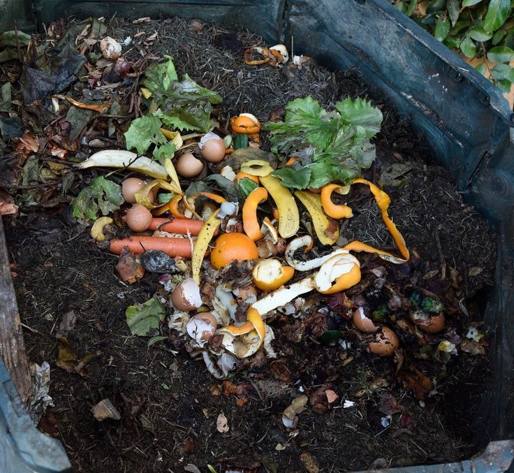 Start Composting