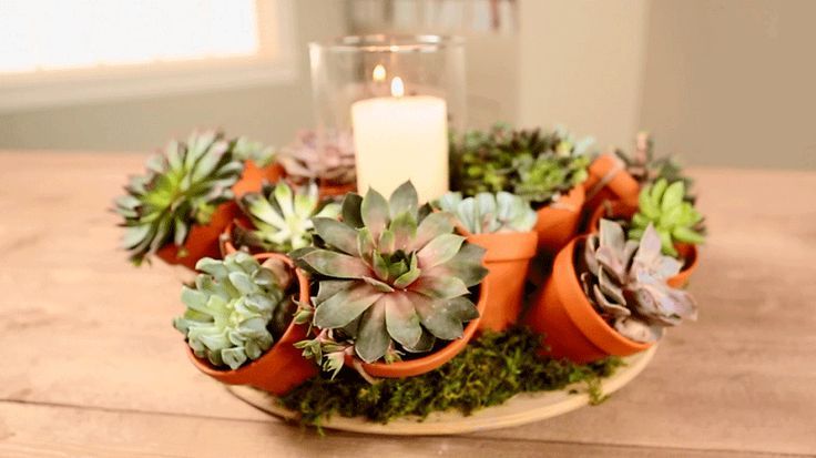 Succulent Centerpieces