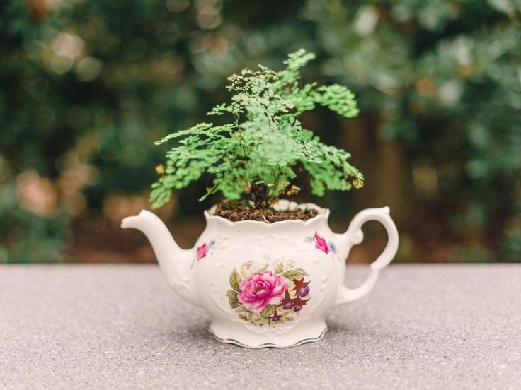 Teapot Planter