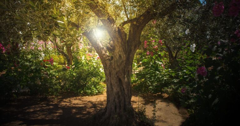 These 30+ Plants Will Thrive in Your Garden for Generations