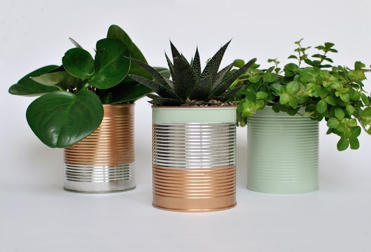 Tin Can Planter