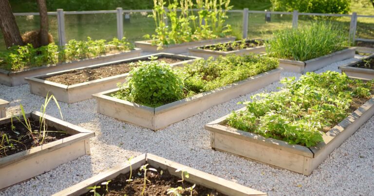 Top 10 High-Yield Veggies for Small Gardens