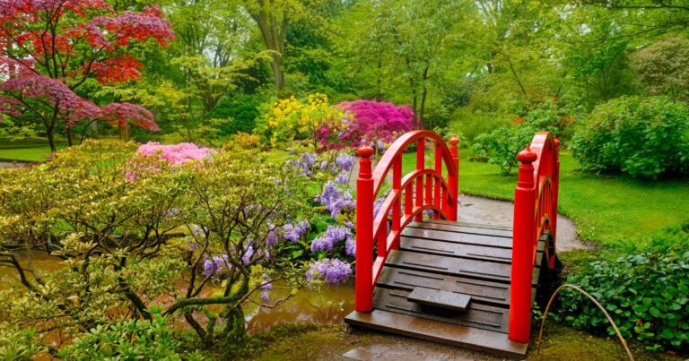 Top 10 Trees Perfect for Small Gardens