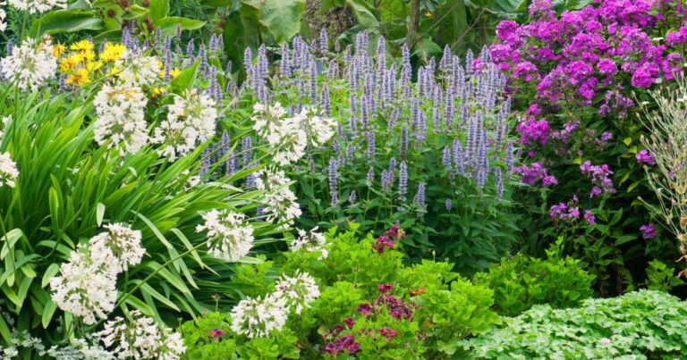 Top 15 Perennial Flowers for Shade That Will Transform Your Garden