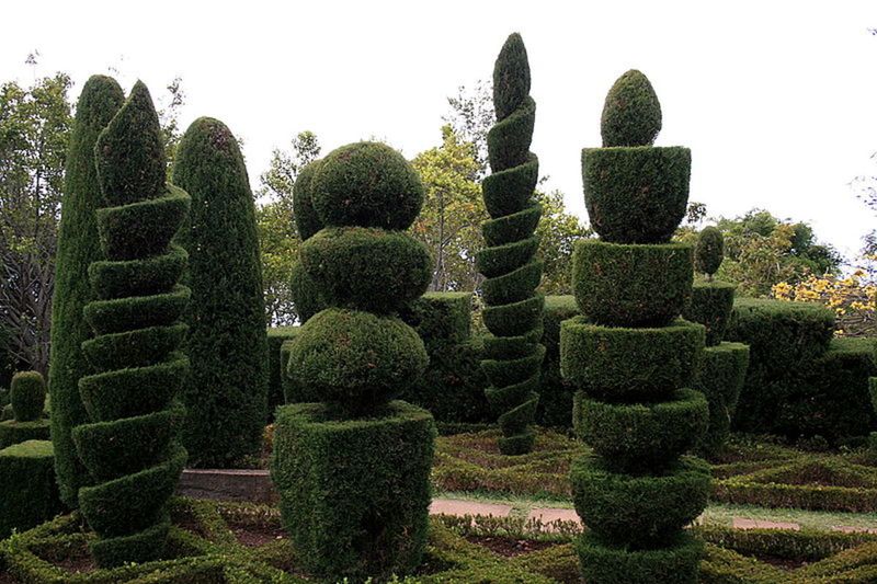 Topiary Artistry