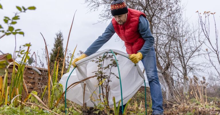 Traditional American Winter Gardening: A Revival