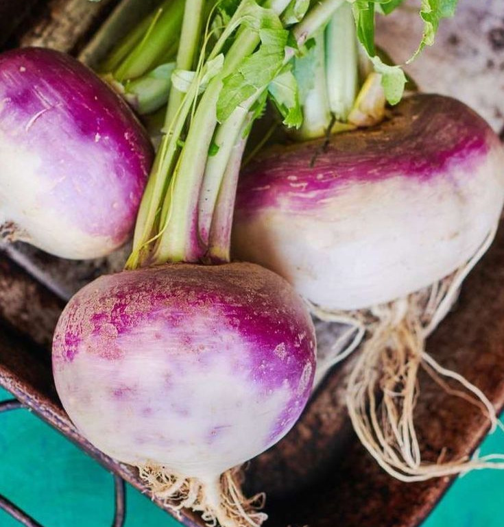 Turnips