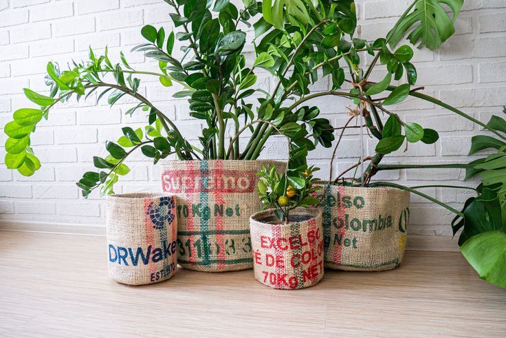 Upcycle Containers