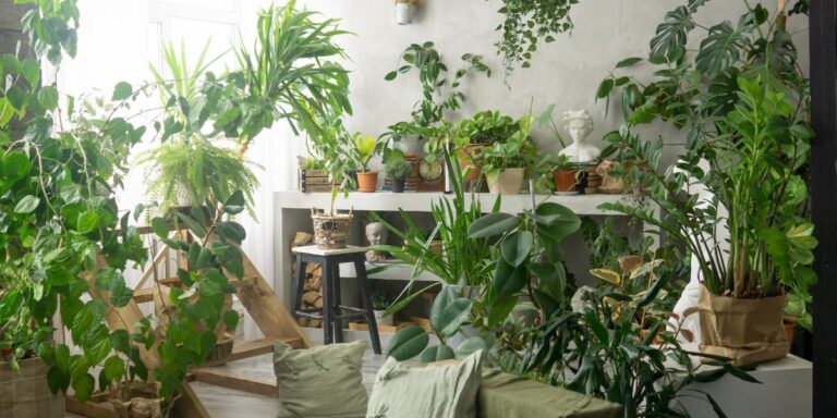 Urban Jungle Transformations for Modern Spaces