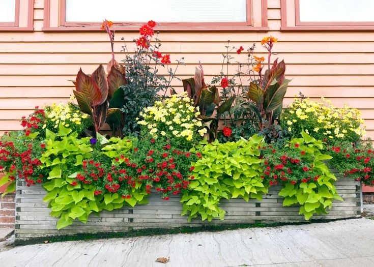 Use Container Gardens