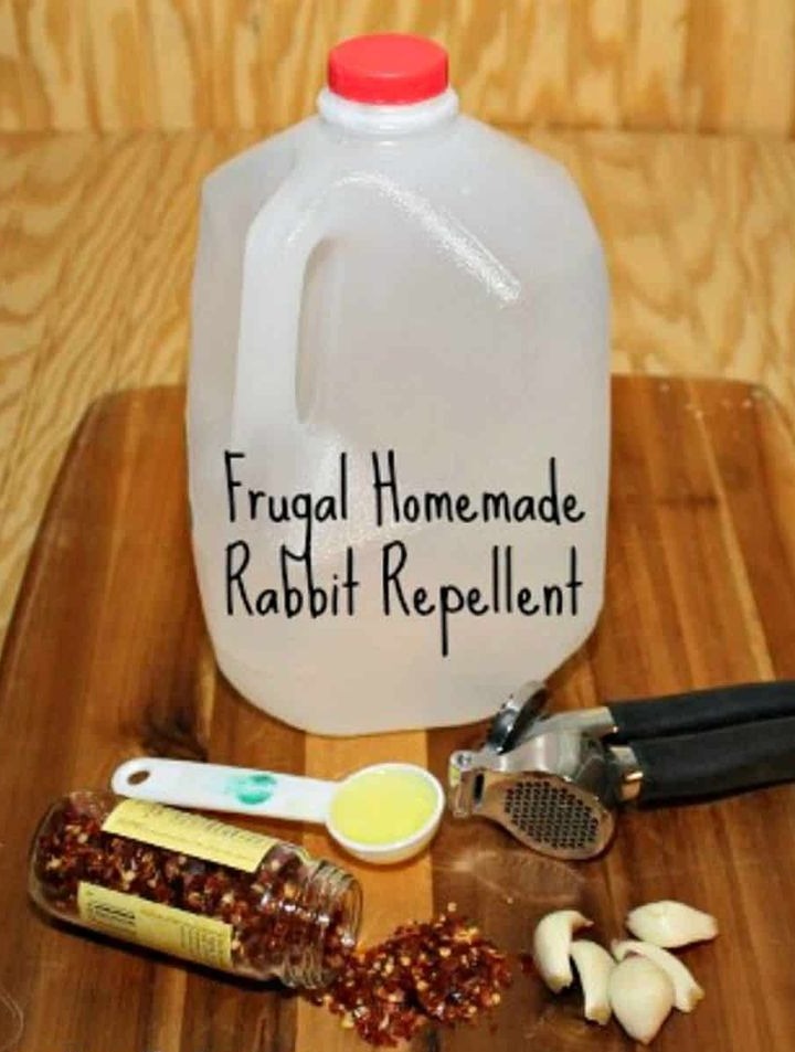 Use Natural Rabbit Repellents