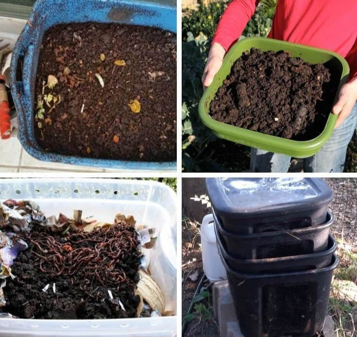 Vermicomposting with Worms