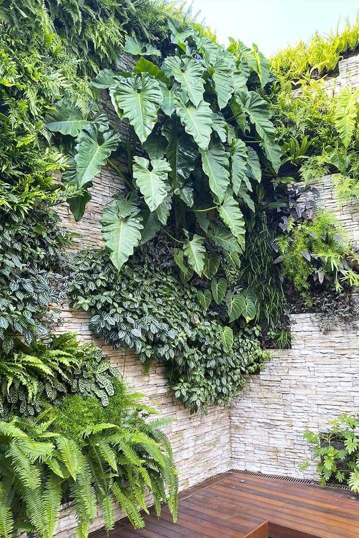 Vertical Gardens