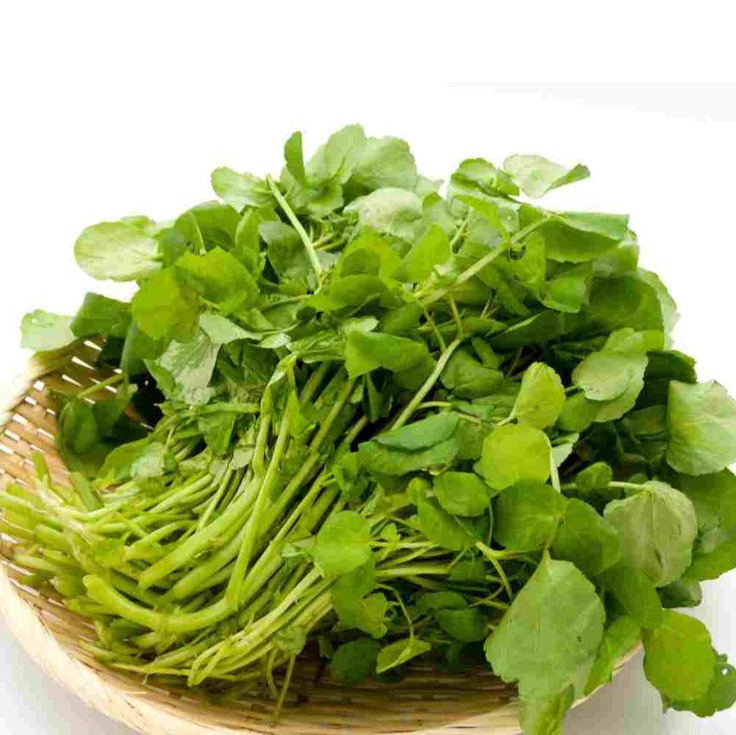 Watercress