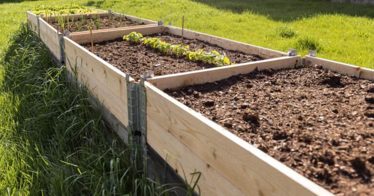 Why 2024’s Late Fall is Ideal for New Garden Beds