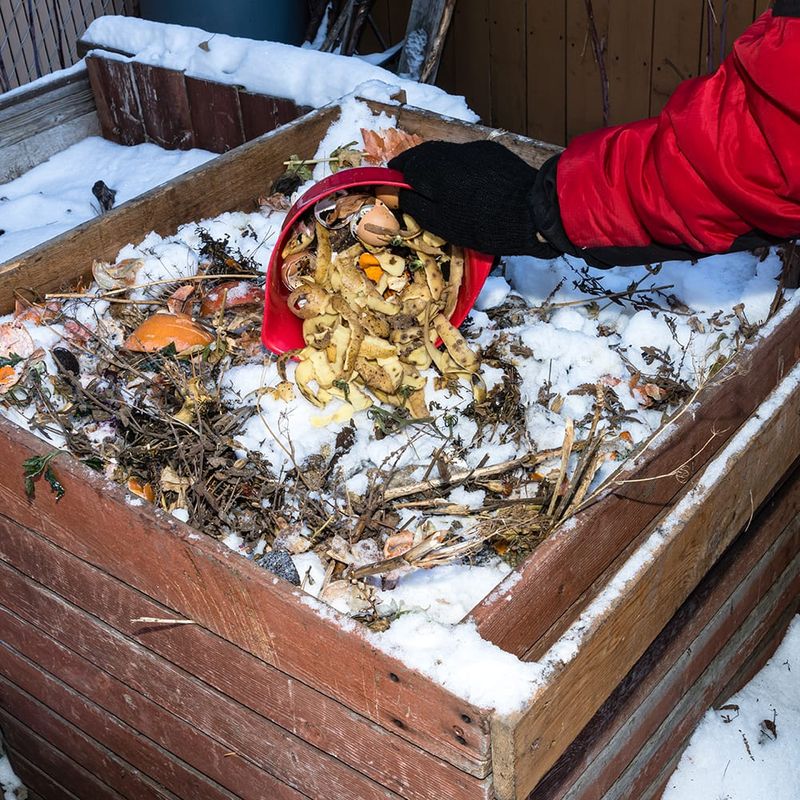 Winter Composting