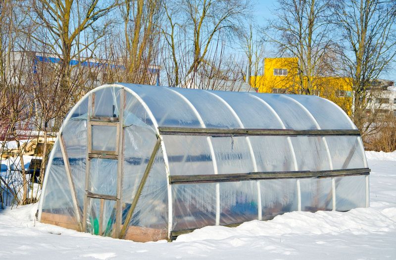 Winter Greenhouses