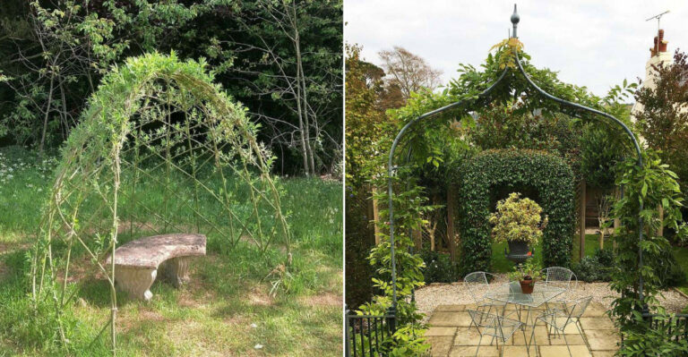 10 Magical Arbors to Transform Your Garden into a Fairy-Tale Haven