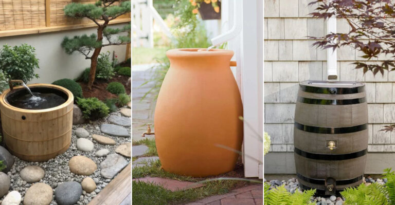 11 Reasons Rain Pots Are the Chic Upgrade Your Garden Needs Instead of a Water Butt