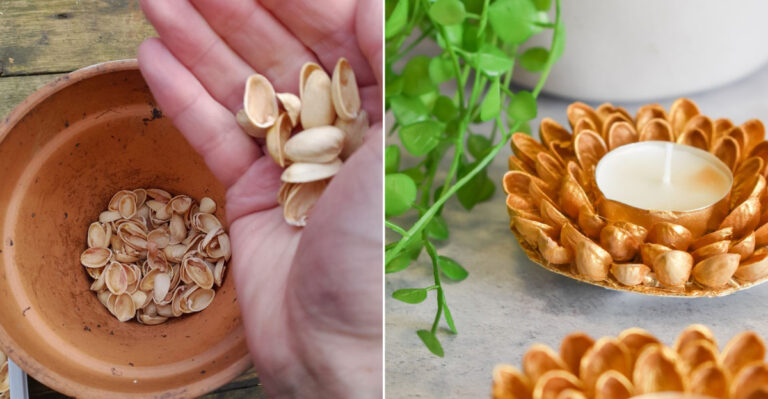 11 Surprising Ways to Reuse Pistachio Shells That Will Blow Your Mind