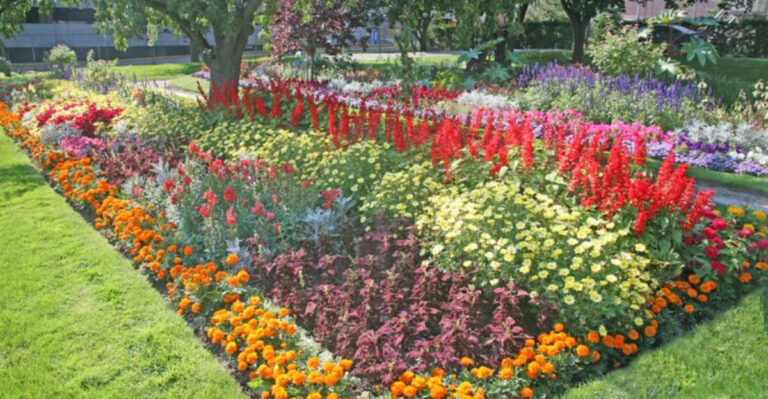 15 Outdated Yard Trends to Ditch Before 2025 (And What to Do Instead)