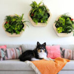 18 Ideas for Decorating Your Walls with Plants