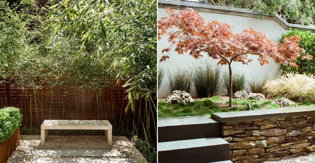 18 Stylish Plants That Instantly Elevate Any Modern Garden