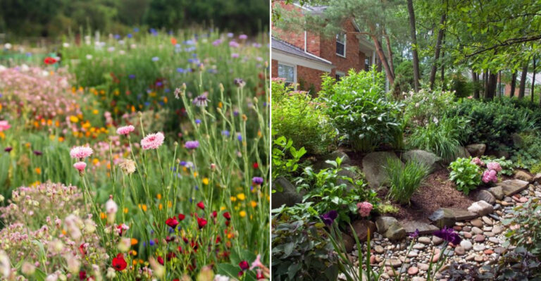 20 Gorgeous Low-Maintenance Garden Ideas That Practically Take Care of Themselves