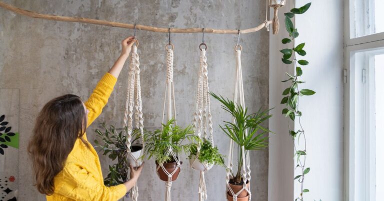 21 Clever Indoor Gardening Hacks for Tiny Spaces