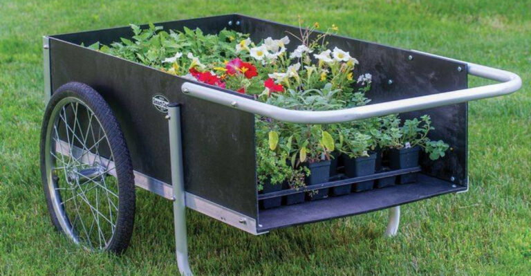 22 Must-Have Tools for Every Dedicated Gardener