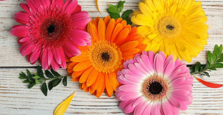 23 Wedding Blooms That Look Luxe but Cost Less