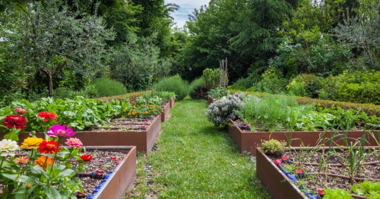 9 Smart Garden Layouts for Maximum Harvests