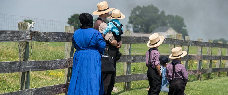 All Amish speak the same language