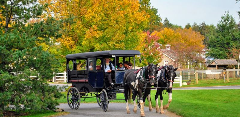 Amish don't travel