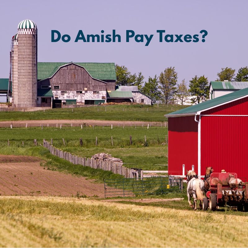 Amish don't pay taxes