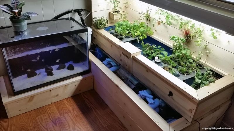 Aquaponics Systems