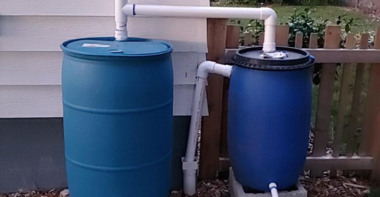 Are You Sabotaging Your Rain Barrel? 8 Mistakes to Avoid