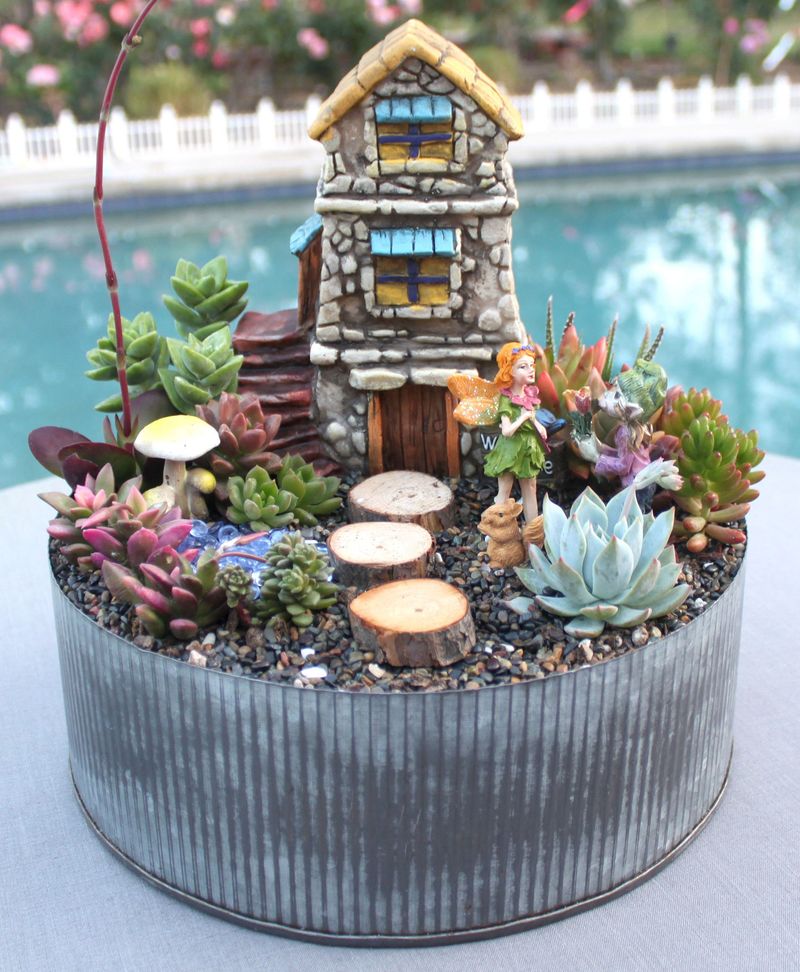 Artistic Adult Succulent Garden