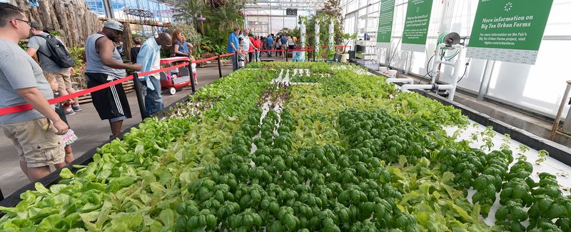 Big Tex Urban Farms