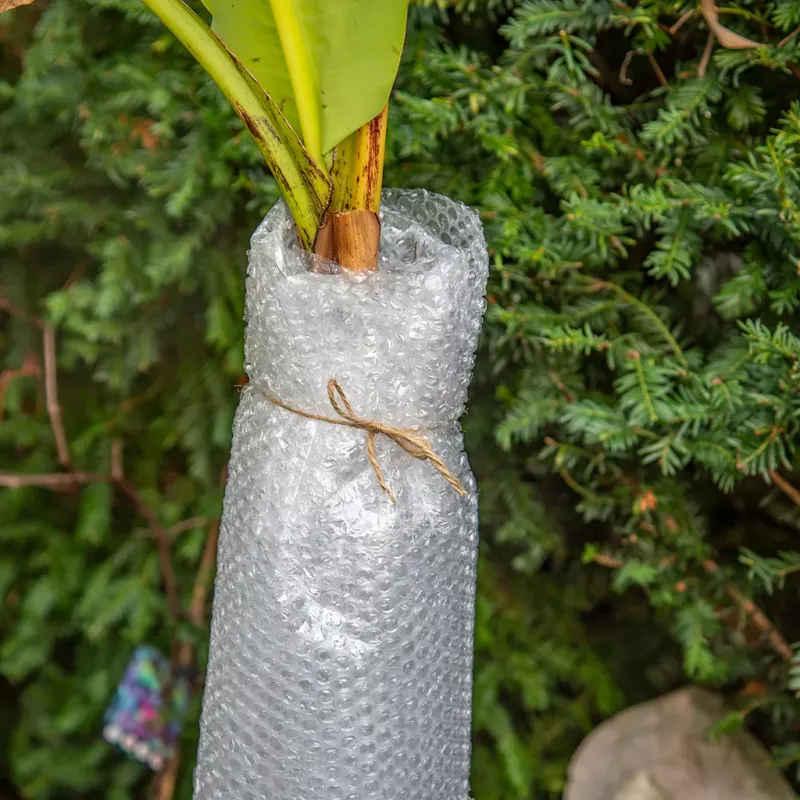 Bubble Wrap Insulation