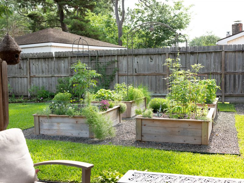 Build Raised Beds