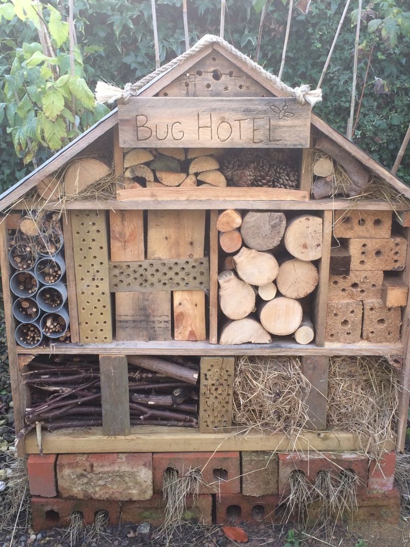 Build a DIY Insect Hotel