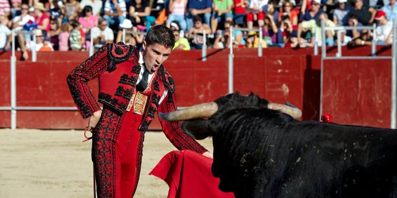 Bulls are enraged by the color red