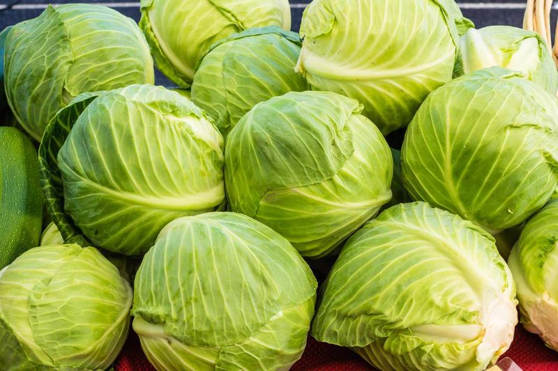 Cabbage