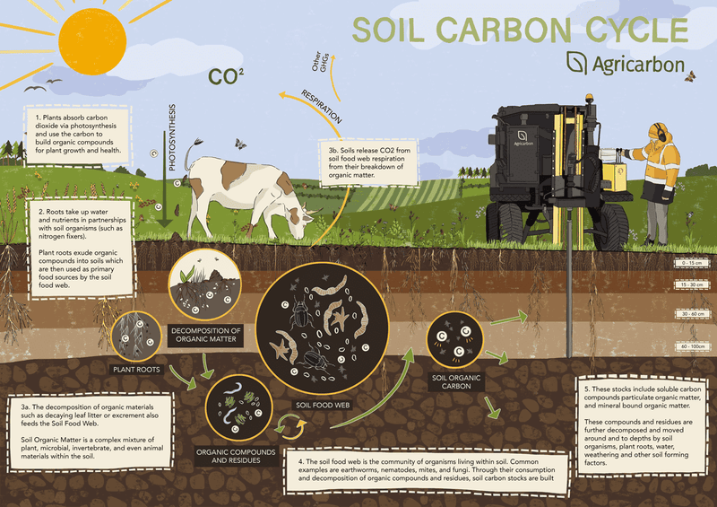 Carbon Sequestration Champions