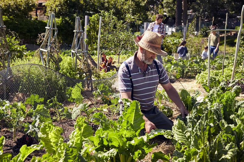 Community Gardening