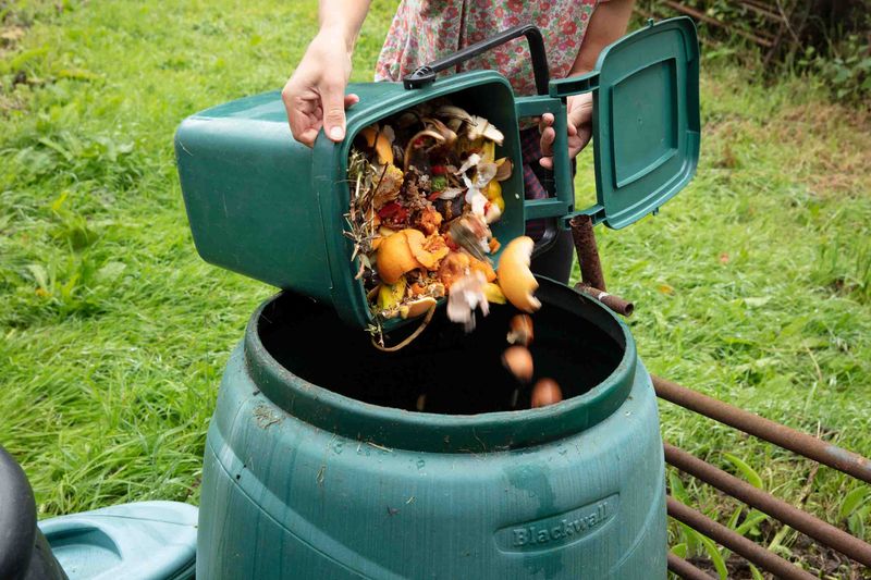 Compost Kitchen Waste