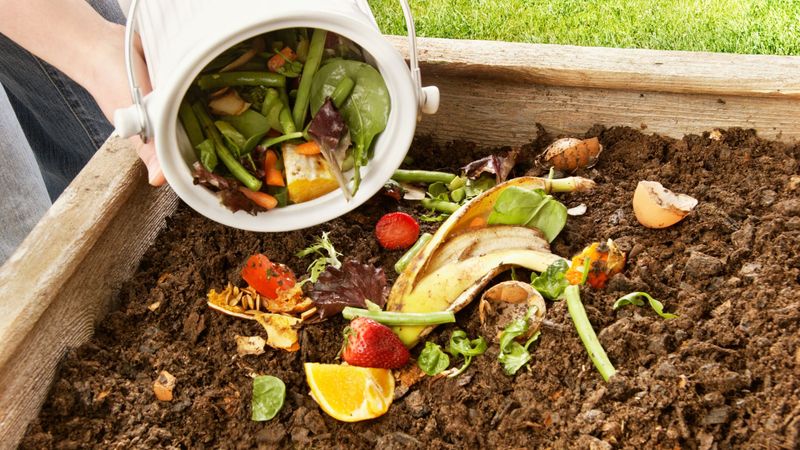 Compost Your Kitchen Waste